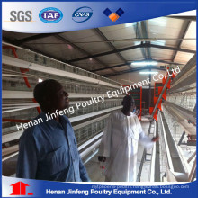 Automatic Day-Old Poultry Raising Equipment